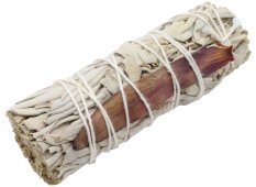 Sálvia Branca 'Dream Sage' Molho 25g 10cm