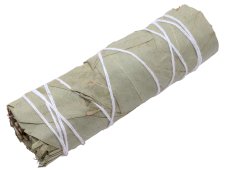 Eucalipto Molho 30g 10cm