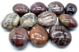 Madeira Fossile 'A' Seixos roulés 1KG