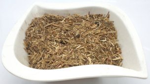 Millefeuille Plante Coupée 100g