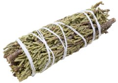 Genévrier Molho 35g 11cm