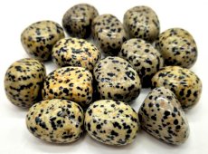 Jaspe Dalmatien 'A' roladas 200g