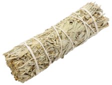 Sálvia Azul Californie Molho 30g