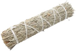 Sálvia Azul Californie Molho 15cm