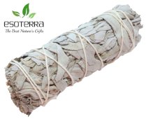 Sálvia Branca Apiana Californie Molho 11cm 25-35g