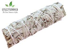 Sálvia Branca Californie Ficelle 15cm 60-80g