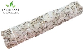 Sálvia Branca Californie Ficelle 21cm 80-120g