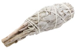 Sálvia Branca Californie Torche 20-25g