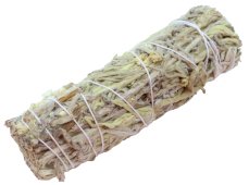 Sálvia Verde Molho 10cm