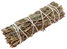 Molho Sálvia Shasta 25g 11cm